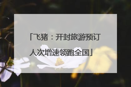 飞猪：开封旅游预订人次增速领跑全国