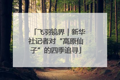 飞羽镜界｜新华社记者对“高原仙子”的四季追寻
