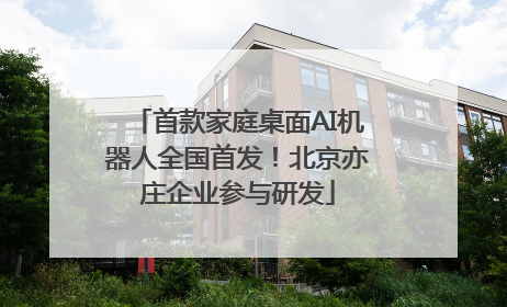 首款家庭桌面AI机器人全国首发！北京亦庄企业参与研发