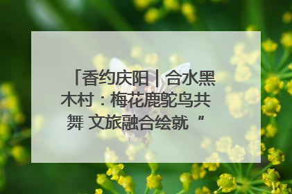 香约庆阳｜合水黑木村：梅花鹿鸵鸟共舞 文旅融合绘就“诗与远方”