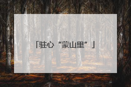 驻心“蒙山里”