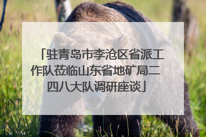 驻青岛市李沧区省派工作队莅临山东省地矿局二四八大队调研座谈