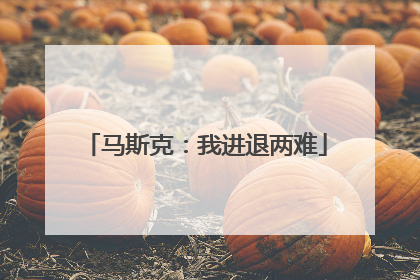 马斯克：我进退两难