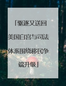 驱逐又送回 美国白宫与司法体系围绕移民争端升级