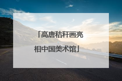 高唐秸秆画亮相中国美术馆