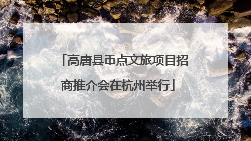 高唐县重点文旅项目招商推介会在杭州举行