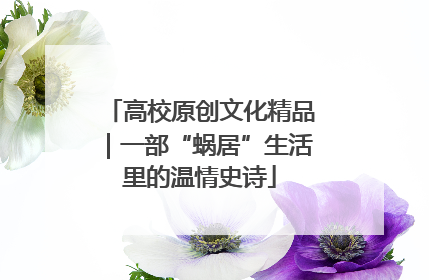 高校原创文化精品｜一部“蜗居”生活里的温情史诗