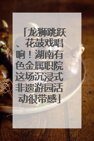 龙狮跳跃、花鼓戏唱响！湖南有色金属职院这场沉浸式非遗游园活动很带感