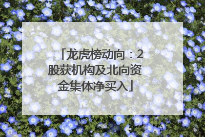 龙虎榜动向：2股获机构及北向资金集体净买入