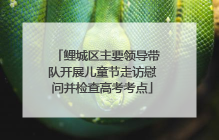 鲤城区主要领导带队开展儿童节走访慰问并检查高考考点