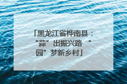 黑龙江省桦南县：“蒜”出振兴路 “园”梦新乡村