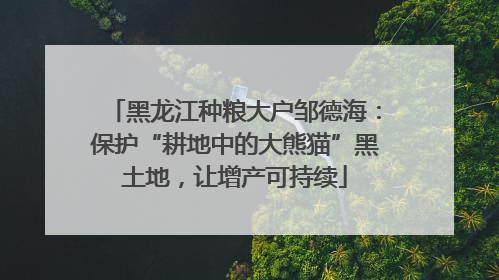 黑龙江种粮大户邹德海：保护“耕地中的大熊猫”黑土地，让增产可持续