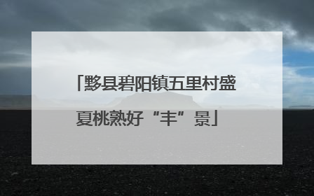 黟县碧阳镇五里村盛夏桃熟好“丰”景