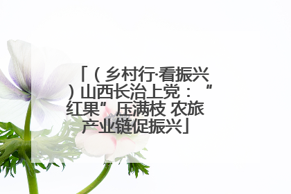 （乡村行·看振兴）山西长治上党：“红果”压满枝 农旅产业链促振兴