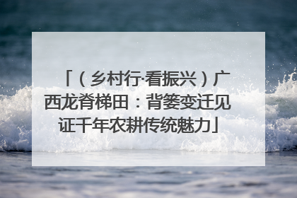 （乡村行·看振兴）广西龙脊梯田：背篓变迁见证千年农耕传统魅力