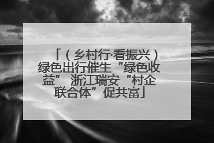 （乡村行·看振兴）绿色出行催生“绿色收益” 浙江瑞安“村企联合体”促共富