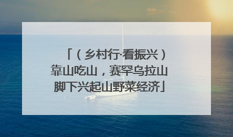 （乡村行·看振兴）靠山吃山，赛罕乌拉山脚下兴起山野菜经济