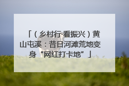 （乡村行·看振兴）黄山屯溪：昔日河滩荒地变身“网红打卡地”