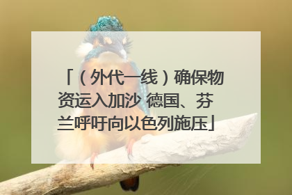 （外代一线）确保物资运入加沙 德国、芬兰呼吁向以色列施压