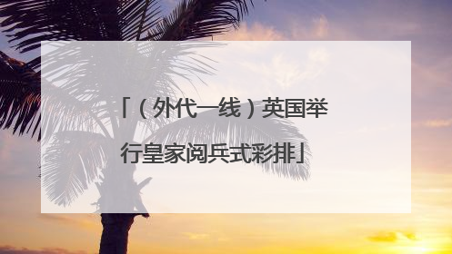 （外代一线）英国举行皇家阅兵式彩排