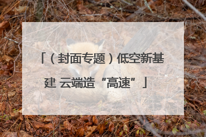 （封面专题）低空新基建 云端造“高速”