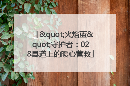 "火焰蓝"守护者：028县道上的暖心营救