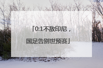 0:1不敌印尼，国足告别世预赛