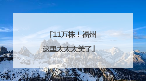11万株！福州这里太太太美了