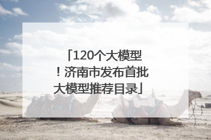 120个大模型！济南市发布首批大模型推荐目录