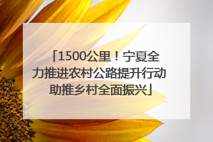 1500公里！宁夏全力推进农村公路提升行动 助推乡村全面振兴