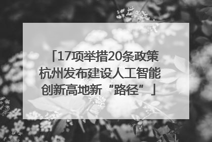 17项举措20条政策 杭州发布建设人工智能创新高地新“路径”
