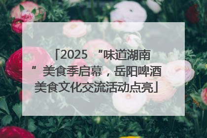 2025 “味道湖南”美食季启幕，岳阳啤酒美食文化交流活动点亮