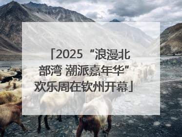 2025“浪漫北部湾 潮派嘉年华”欢乐周在钦州开幕