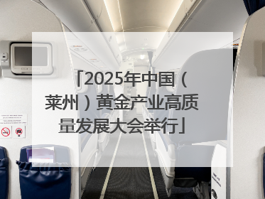 2025年中国（莱州）黄金产业高质量发展大会举行