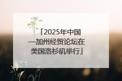 2025年中国—加州经贸论坛在美国洛杉矶举行