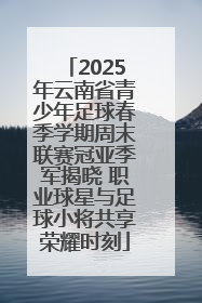 2025年云南省青少年足球春季学期周末联赛冠亚季军揭晓 职业球星与足球小将共享荣耀时刻