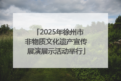 2025年徐州市非物质文化遗产宣传展演展示活动举行