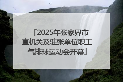 2025年张家界市直机关及驻张单位职工气排球运动会开幕