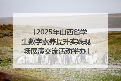 2025年山西省学生数字素养提升实践现场展演交流活动举办