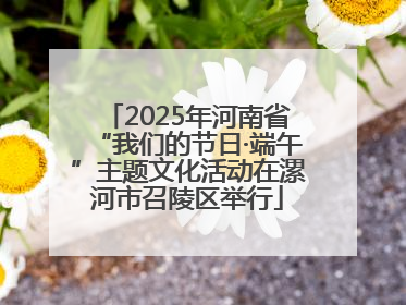 2025年河南省“我们的节日·端午”主题文化活动在漯河市召陵区举行