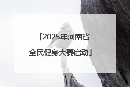 2025年河南省全民健身大赛启动