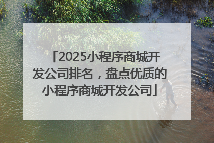 2025小程序商城开发公司排名，盘点优质的小程序商城开发公司