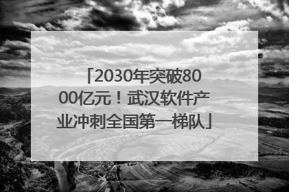 2030年突破8000亿元！武汉软件产业冲刺全国第一梯队