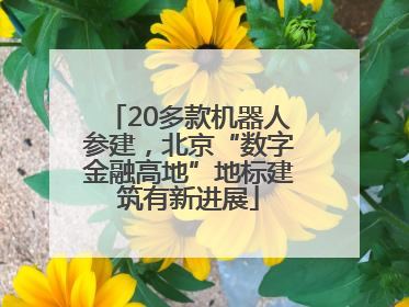 20多款机器人参建，北京“数字金融高地”地标建筑有新进展