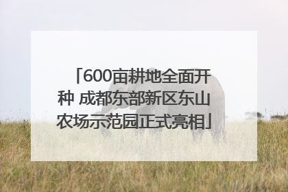 600亩耕地全面开种 成都东部新区东山农场示范园正式亮相