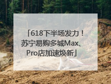 618下半场发力！苏宁易购多城Max、Pro店加速焕新