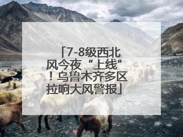 7-8级西北风今夜“上线”！乌鲁木齐多区拉响大风警报
