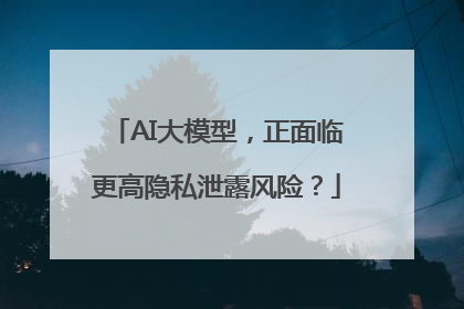 AI大模型，正面临更高隐私泄露风险？