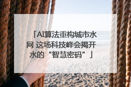 AI算法重构城市水网 这场科技峰会揭开水的“智慧密码”